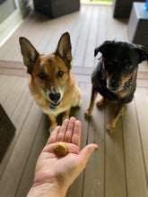 Load image into Gallery viewer, Oatmeal Honey Chewies